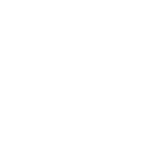 2A