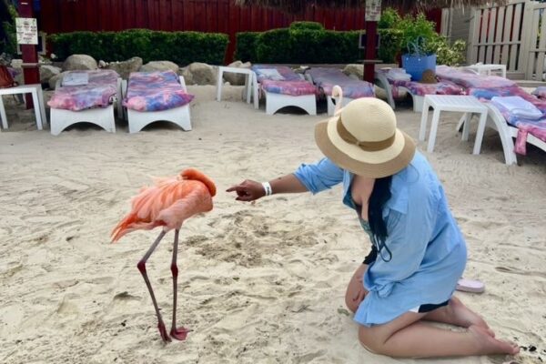 katie pacheco bio photos103